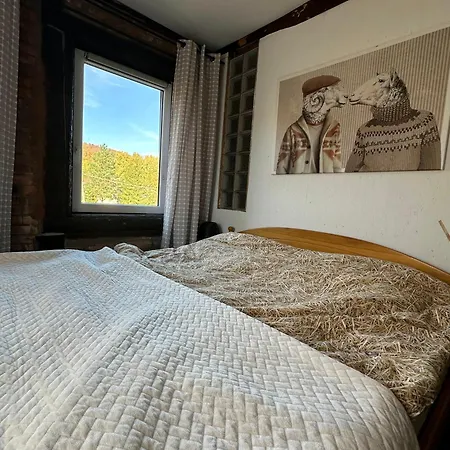 Guest house Osada Barbanica