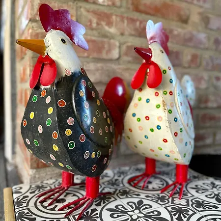 Guest house Osada Barbanica 3*