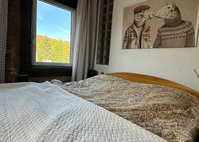 게스트하우스 Osada Barbanica