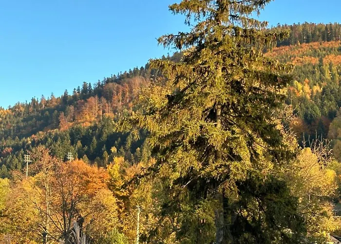 Osada Barbanica 3* 슈차이르크